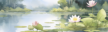My Reflections